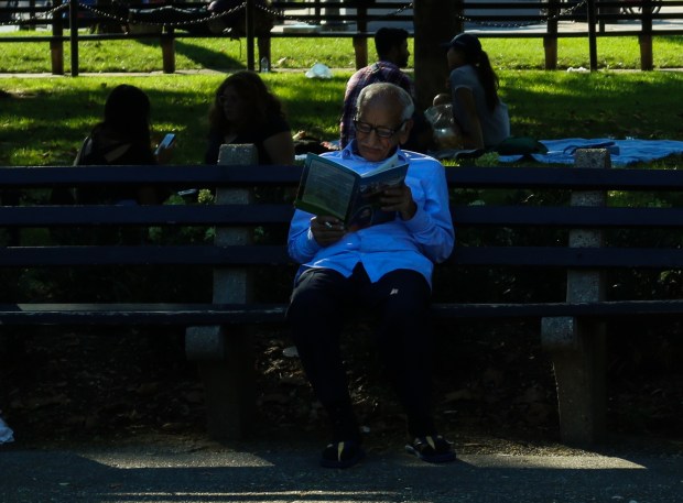 man on bench for photo